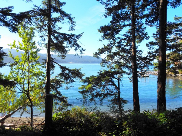 This campsite view was insanely gorgeous.