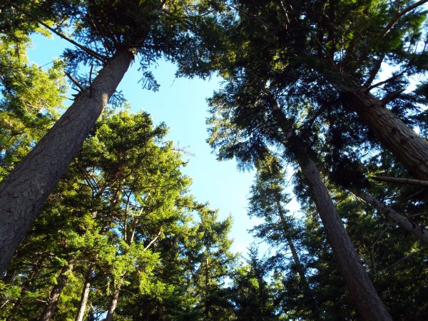 Did I mention that the weather was perfection? 