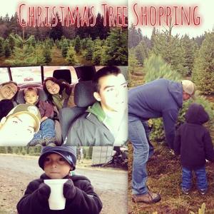 1465193_766192483396053_1859674153_n